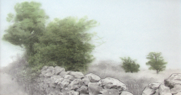 Wall and Trees watercolour and pencil on paper by Keith McMurray